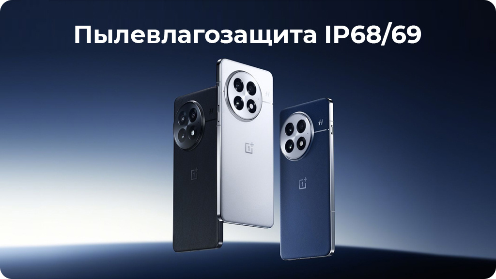 OnePlus 13 12/512Gb Dual nanoSim Черный Global